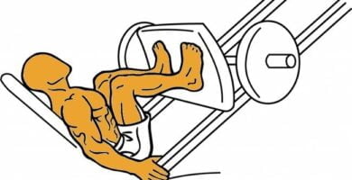 ejercicio de musculacion la prensa de muslos 1