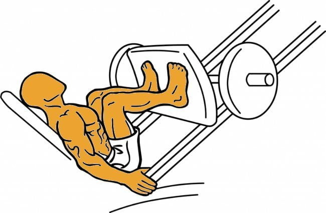 ejercicio de musculacion la prensa de muslos 1