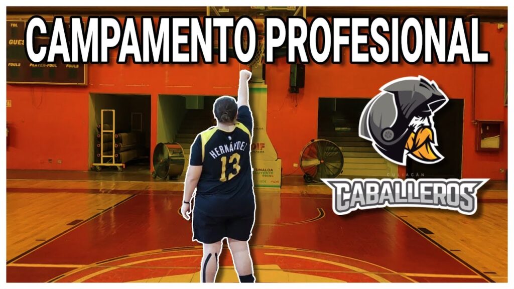 Campamentos de baloncesto