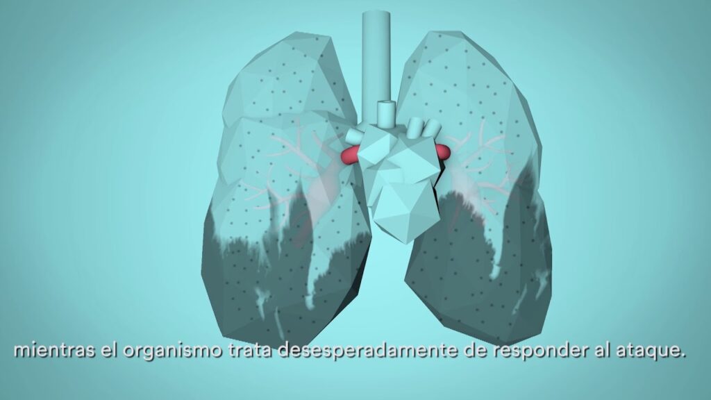 Contaminacion del aire y enfermedades respiratorias