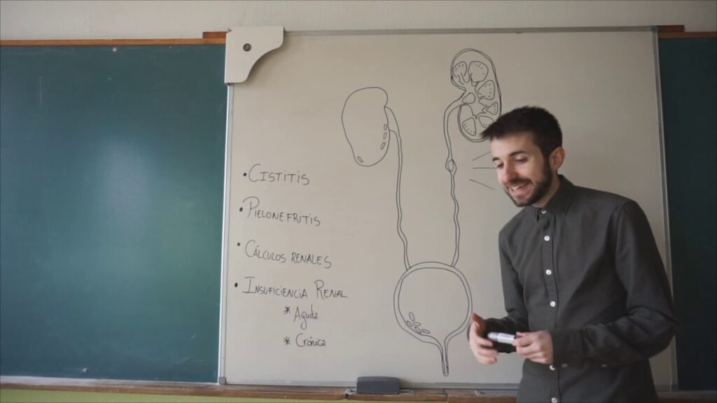 Enfermedades del sistema renal