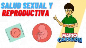 Salud-sexual-y-reproductiva