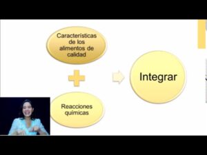 dieta-quimica