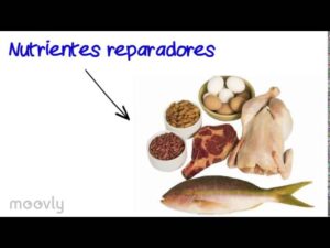 dieta-variada