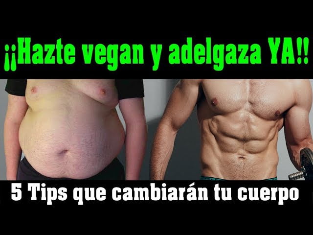 dieta vegana para perder peso