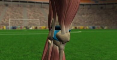 Otras lesiones de rodilla