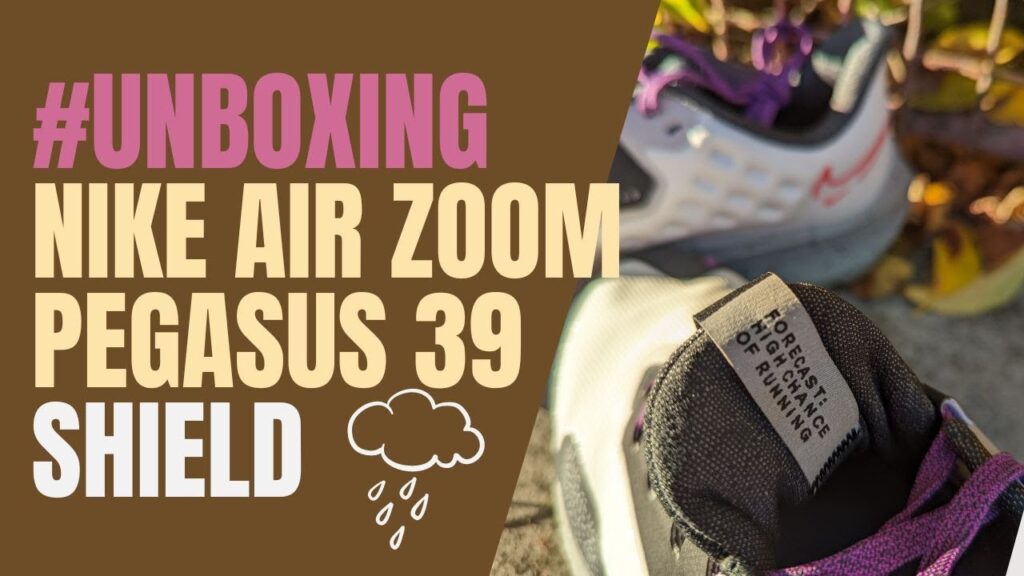 Air Zoom Pegasus 39 Shield Sneaker Mujer 1