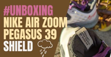 Air Zoom Pegasus 39 Shield Sneaker Mujer