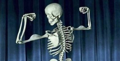 consejos fundamentales para empezar en el skeleton